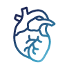 Cardiology