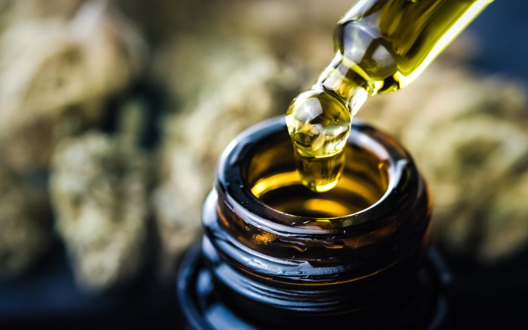 HealthHarmonie Minds GP Webinar Series: Cannabis Use and ADHD | Free Primary Care Session